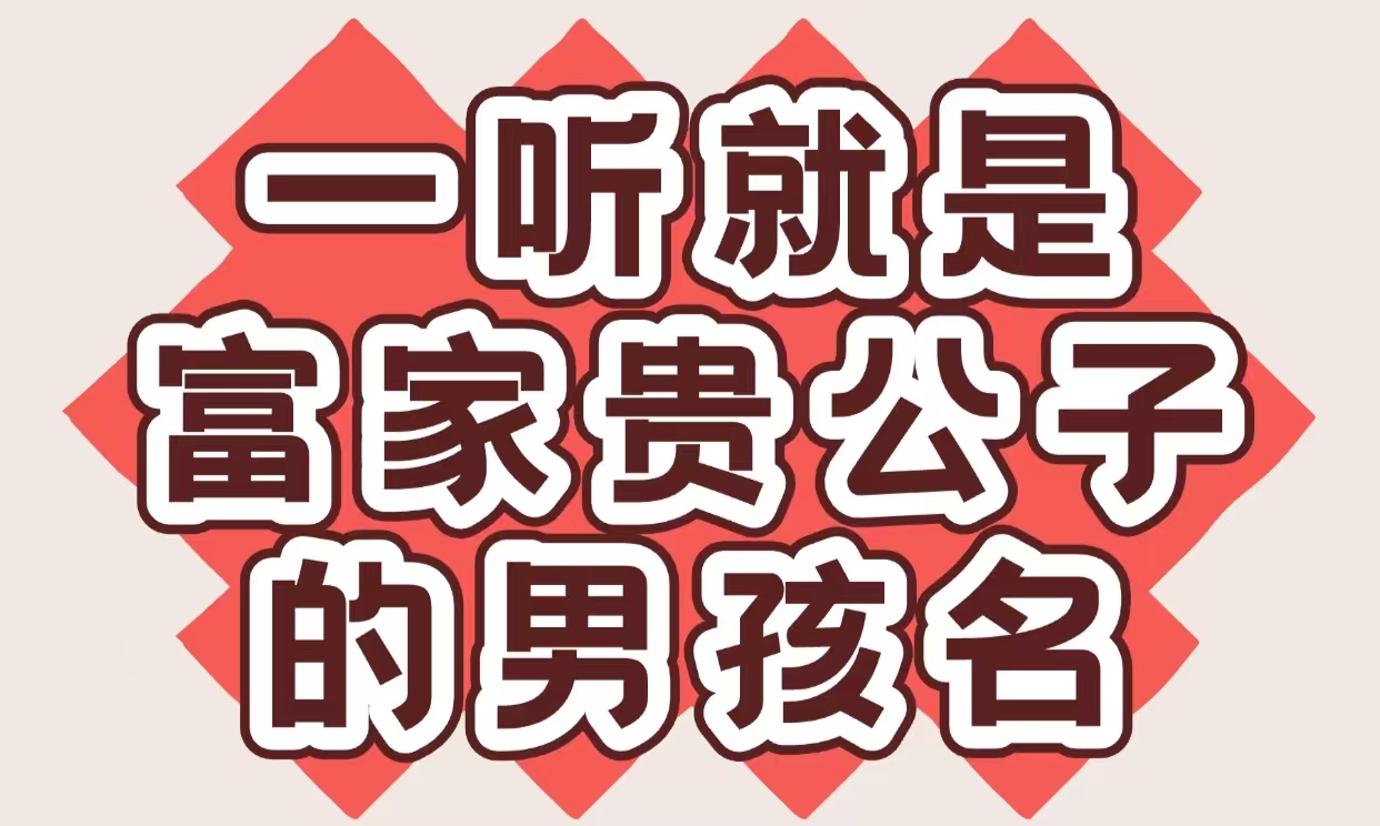 一听就是富家贵公子的男孩名