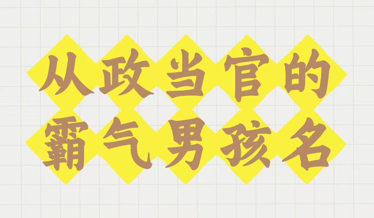 从政当官的霸气男孩名